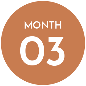 month03